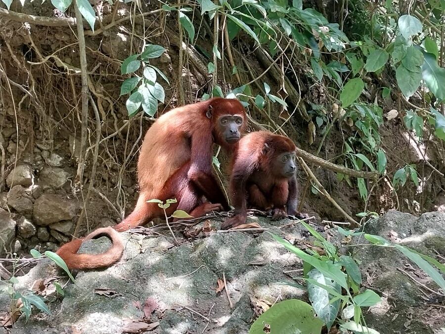 Alcaldía de Cartagena
