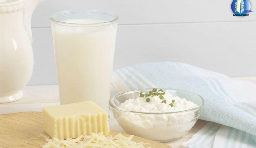 Productos lácteos