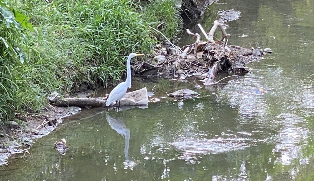 Río Manzanares foto de referencia