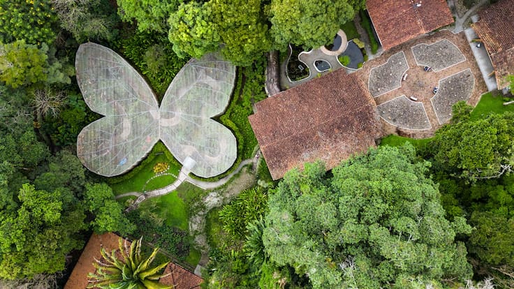 Jardín Botánico del Quindío pide ayuda tras desplome del turismo en el departamento por el terremoto