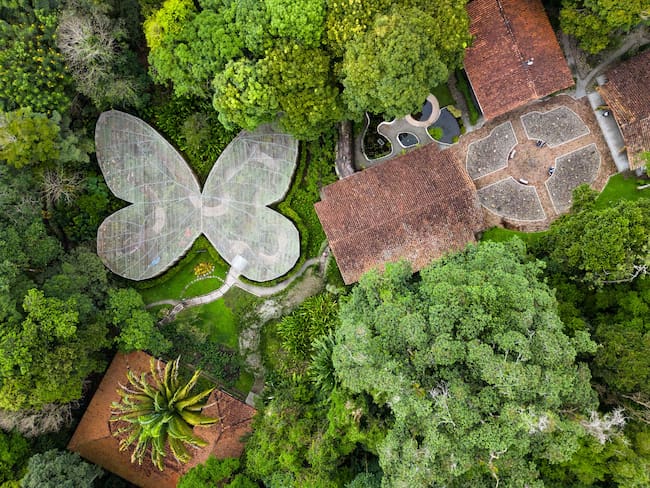 Alberto Gómez Mejía, presidente Jardín Botánico del Quindío