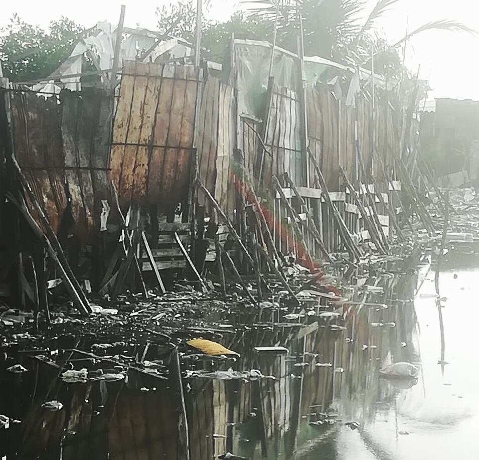 Fundación Verde que te quiero Verde