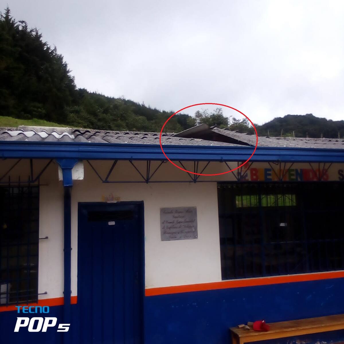 Ladrones se robaron hasta la alcancía de una escuela rural de Sonsón, Antioquia