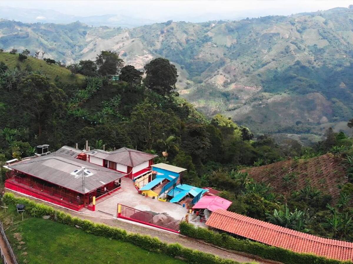 El aguacate, producto insignia de los marselleses