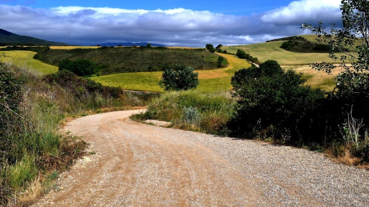 Fotosynttesis, la empresa que se dedica al cuidado personal-espiritual