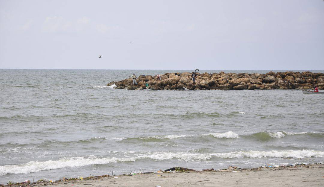 Cortesía (Colprensa)