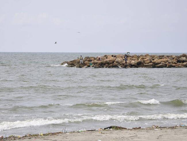 Cortesía (Colprensa)