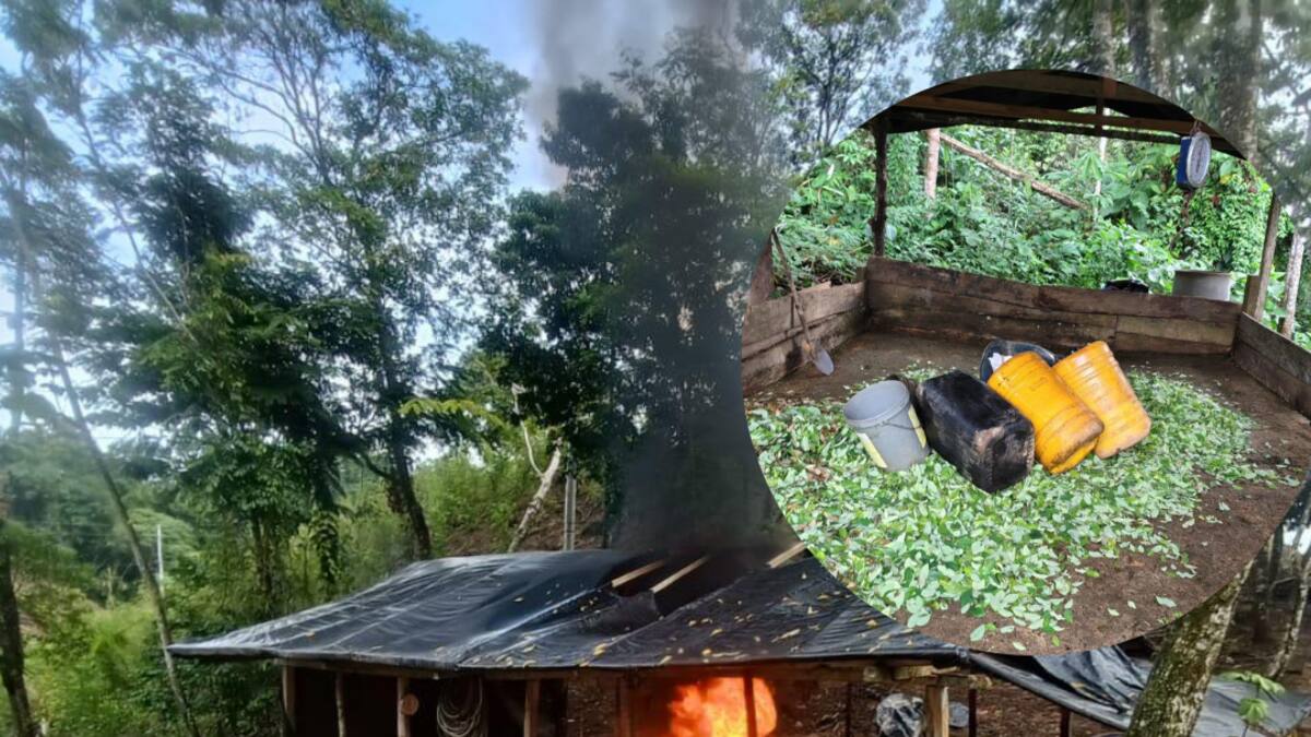 El Ejército le destruyó cuatro laboratorios de coca a tres grupos ilegales en Valdivia y Cáceres