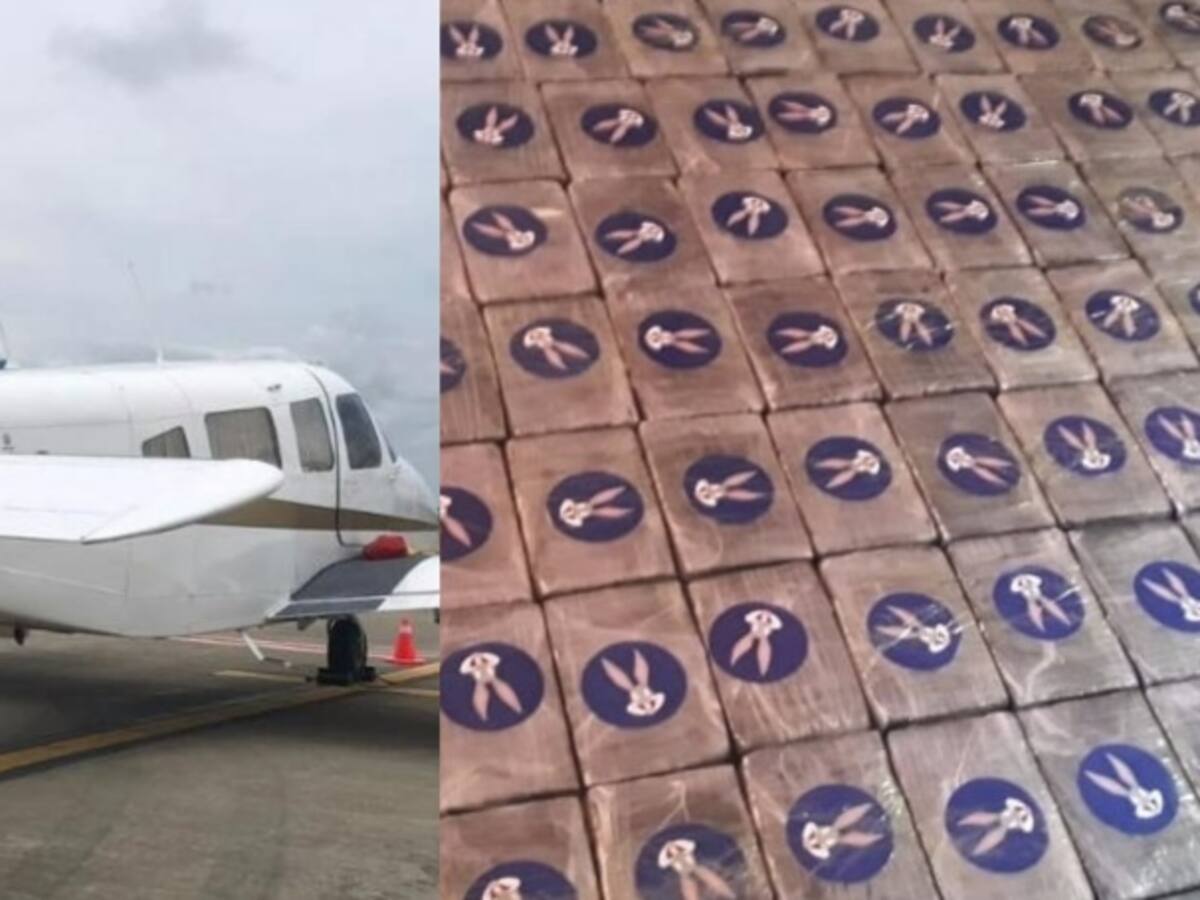 Cae 'narco avioneta' con droga de Bugs Bunny