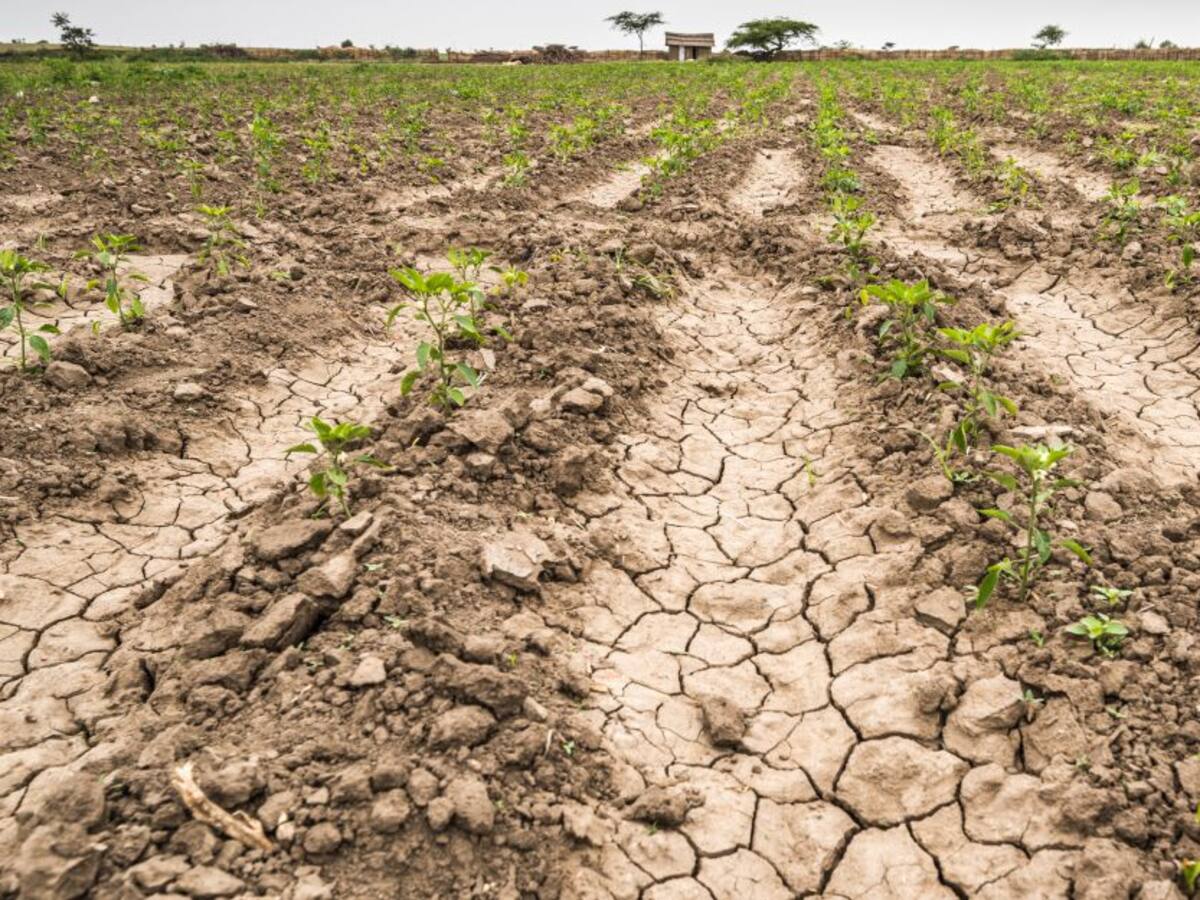 A 32 aumentó el número municipios con desabastecimiento de agua