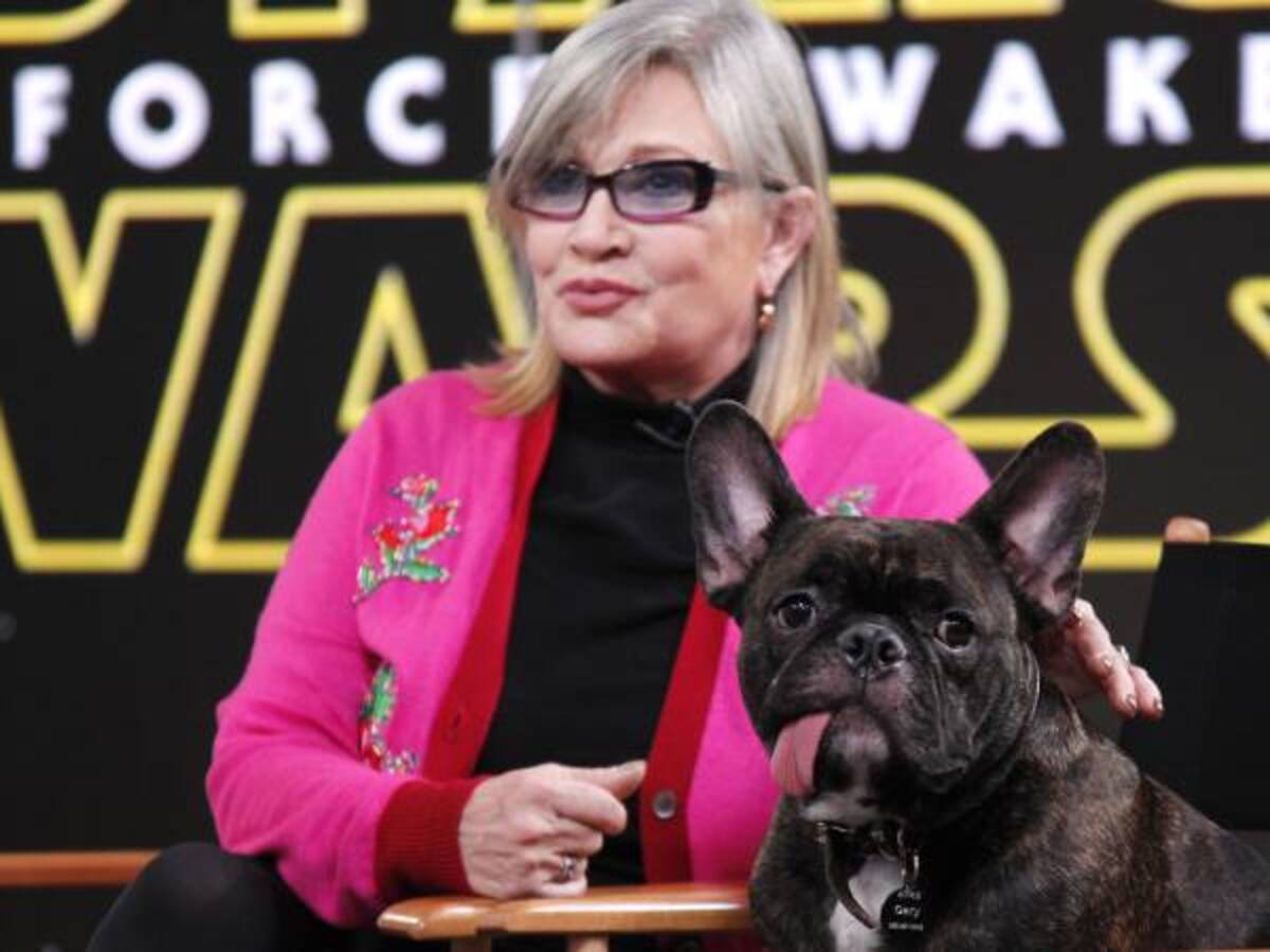 Salen a subasta los guiones de 'Star Wars' corregidos por Carrie Fisher