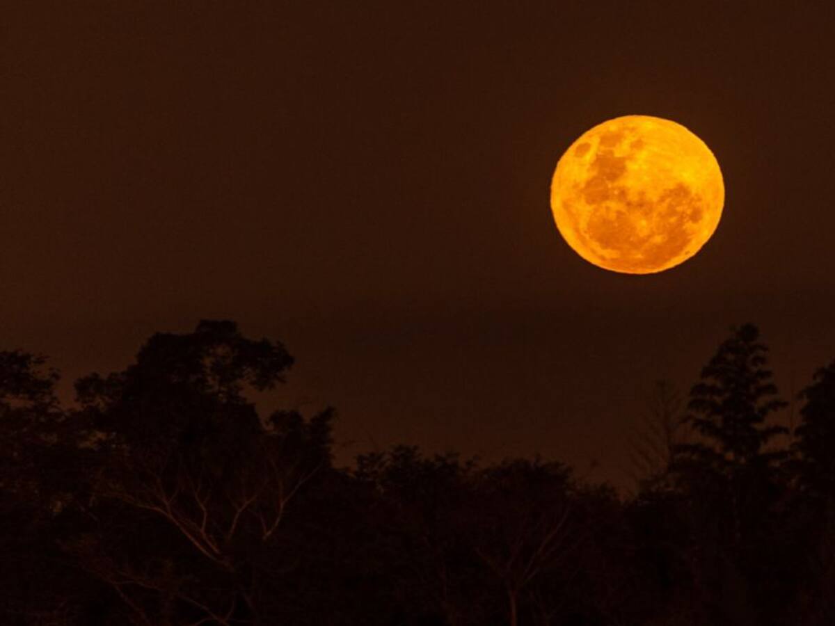 Superluna de Fresa: ¿Cómo se vio el fenómeno astronómico en el mundo?