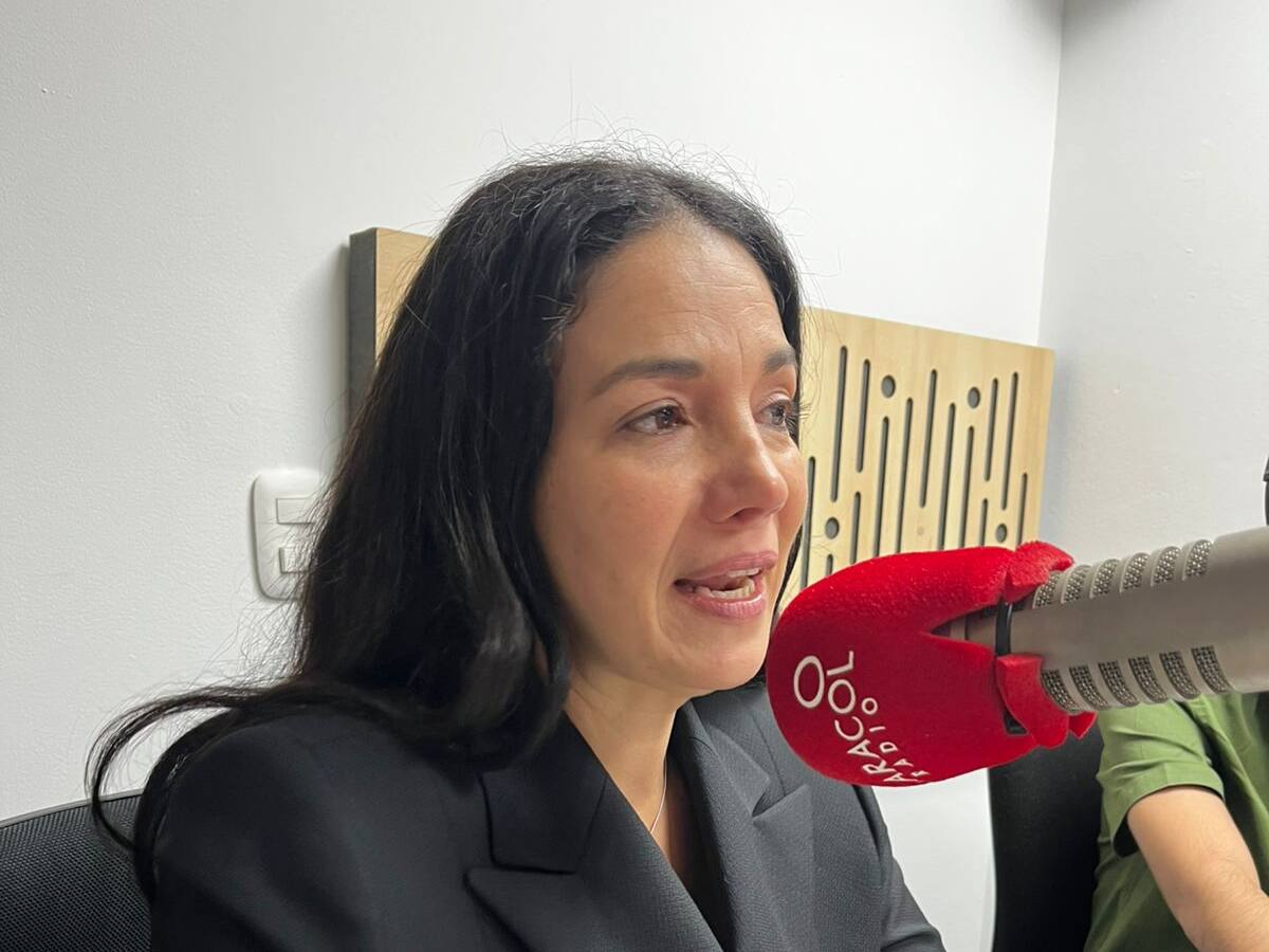 Sondra Macollins: ¿Por qué Colombia crea este tipo de criminales como Martín Sombra?