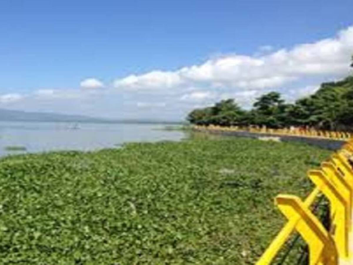 Hallan cuerpo de joven ahogado en el río Magdalena