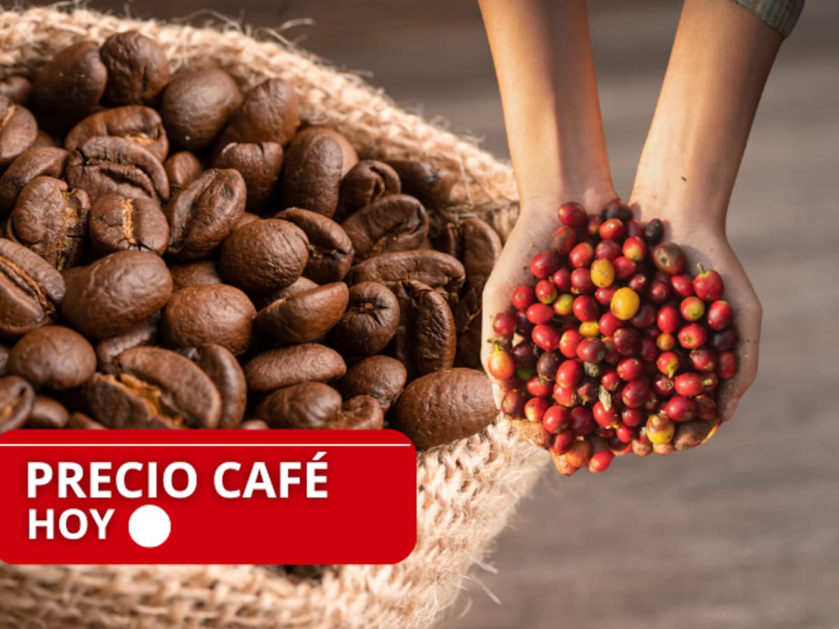 Precio oficial del café HOY 25 de marzo en Colombia: ¿En cuánto está la carga en dólares?
