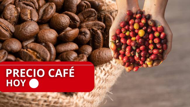 Precio del café // café tostado // Café // Getty Images