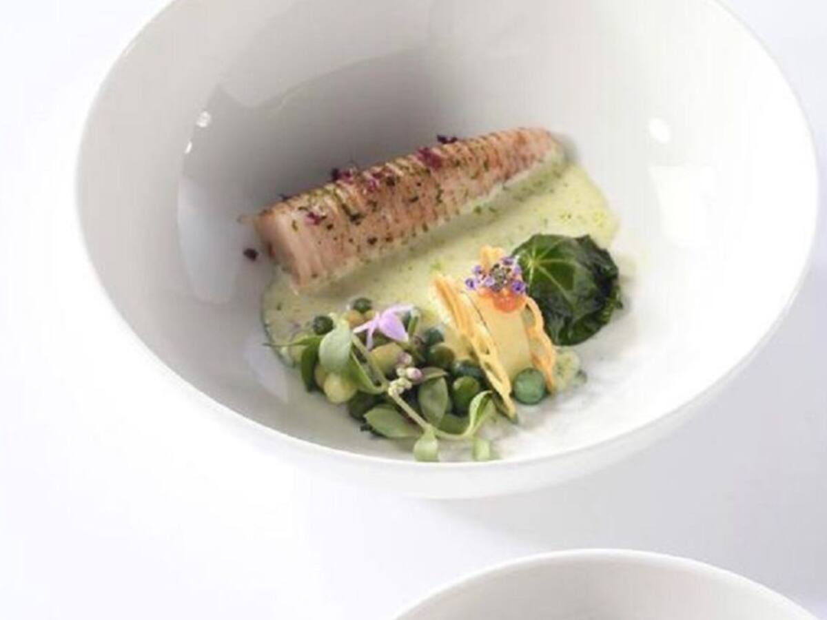 Colombia alista su participación en concurso de gastronomía Bocuse D´OR