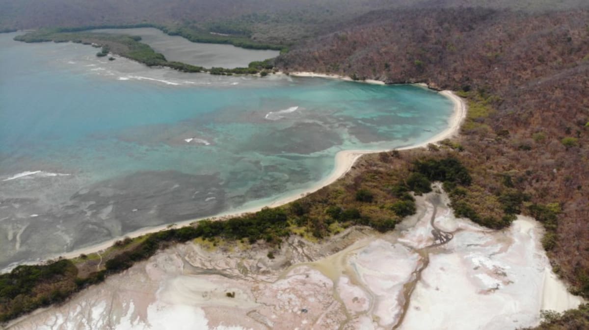 En Playa Chengue también hay una gran cantidad de manglares que le da vitalidad a este lugar.