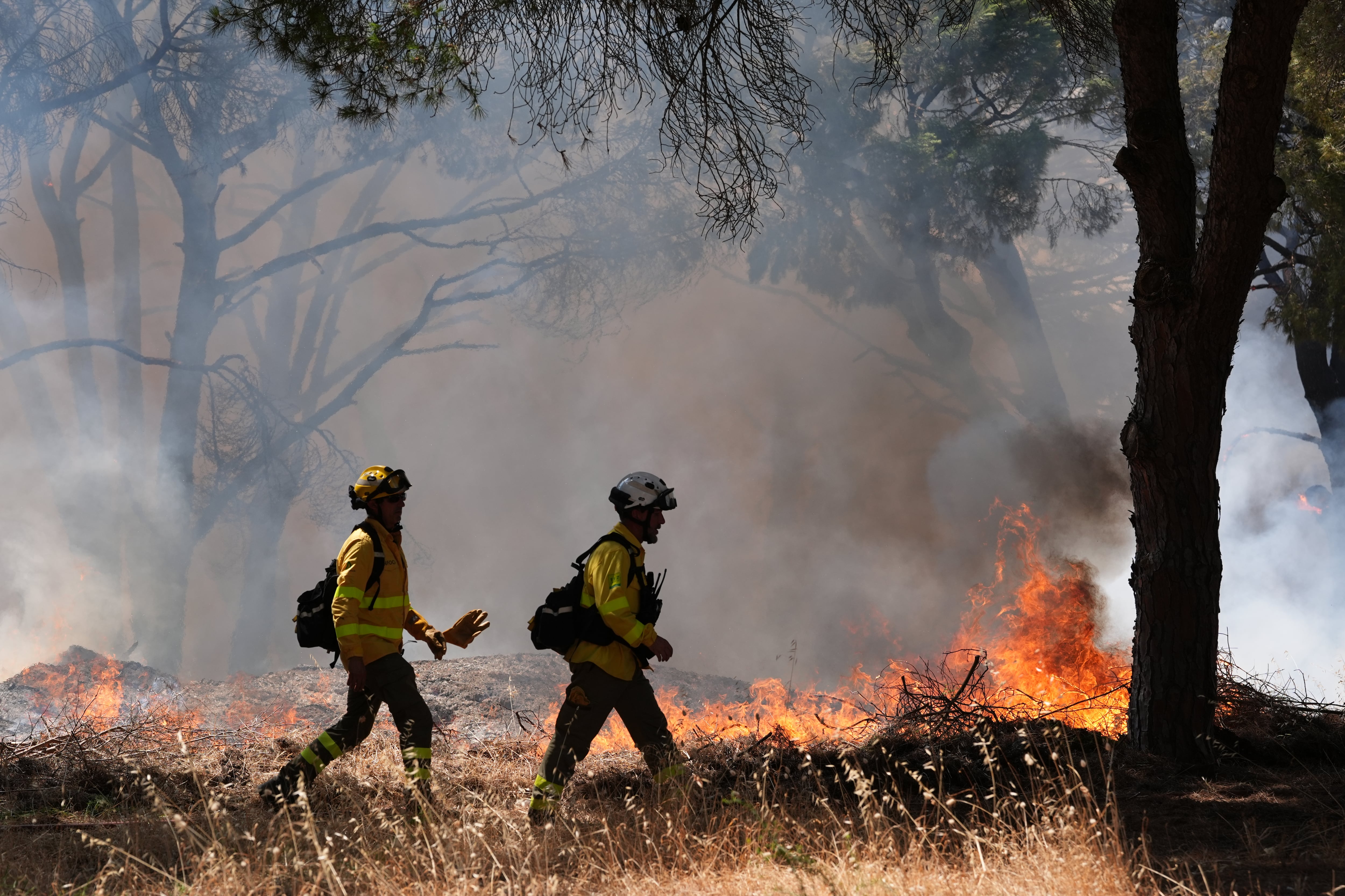 Efectivos de los Bomberos trabajan en la extinción de incendios.
EFE/Román Ríos