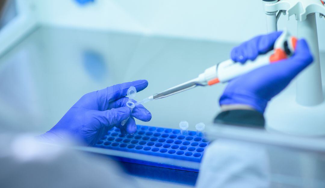 Imagen de referencia