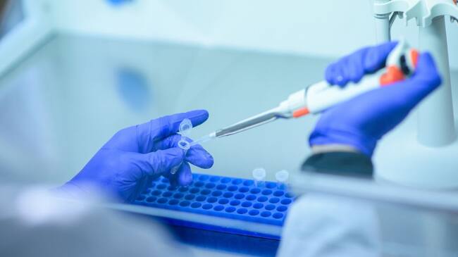 Imagen de referencia