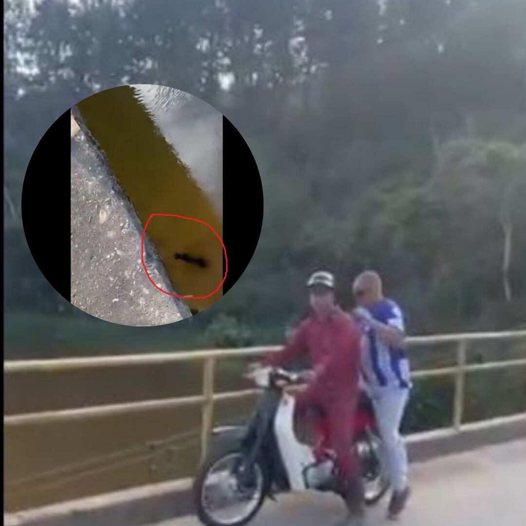 Hombres lanzaron a un perrito a un río con desnutrición y posible maltrato físico - fotos cortesía