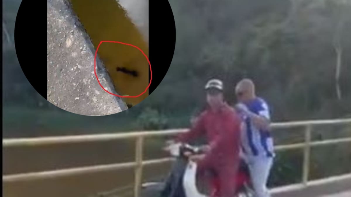 ¡Reprochable! Un perrito con señales de maltrato fue lanzado a un río por dos hombres en Gómez Plata