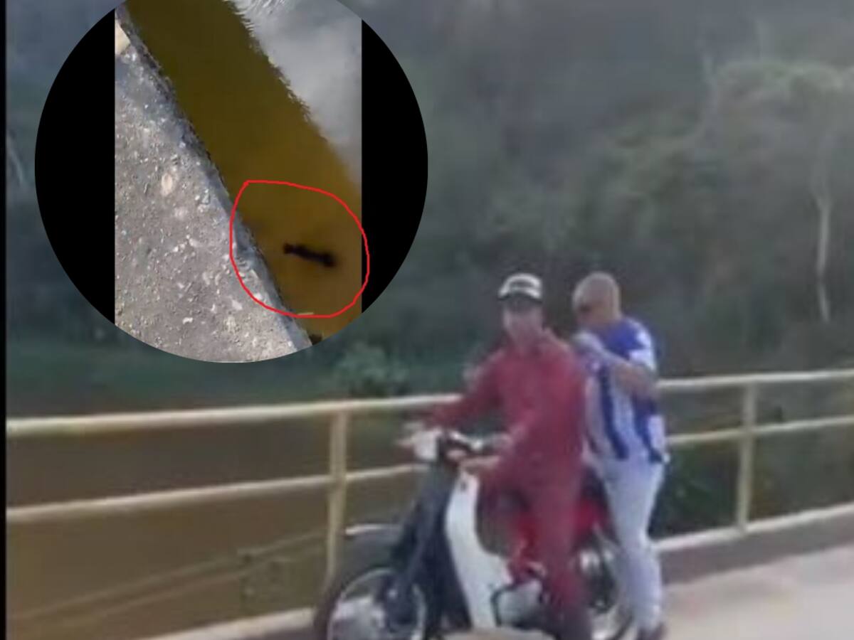 ¡Reprochable! Un perrito con señales de maltrato fue lanzado a un río por dos hombres en Gómez Plata