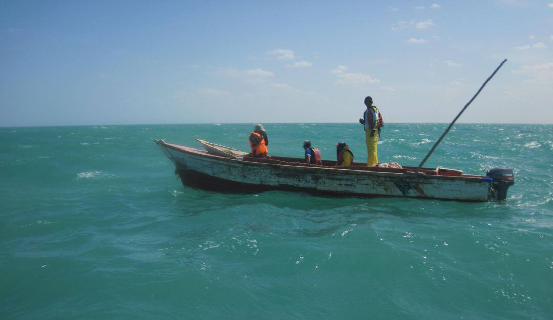 Imagen de referencia