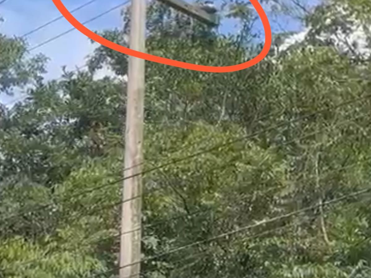 Habitantes de Pajarito denuncian constantes cortes de energía que afectan la economía local