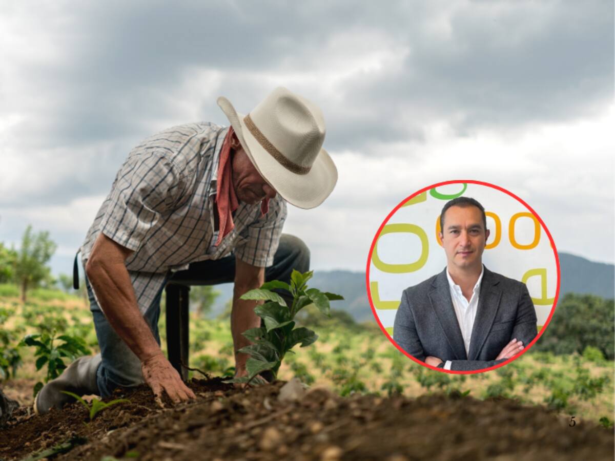 ¿Qué es el amoníaco azul? Esta es la apuesta de Yara para transformar el campo en Colombia