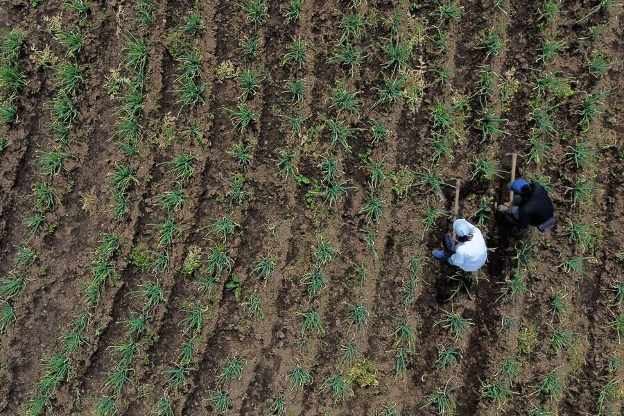 Imagen de referencia de restitución de tierras. Foto: Colprensa.