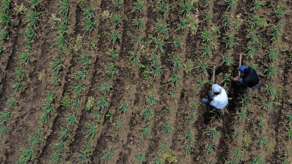 URT rechazó presuntas intimidaciones contra uno de sus funcionarios en zona rural de Montería
