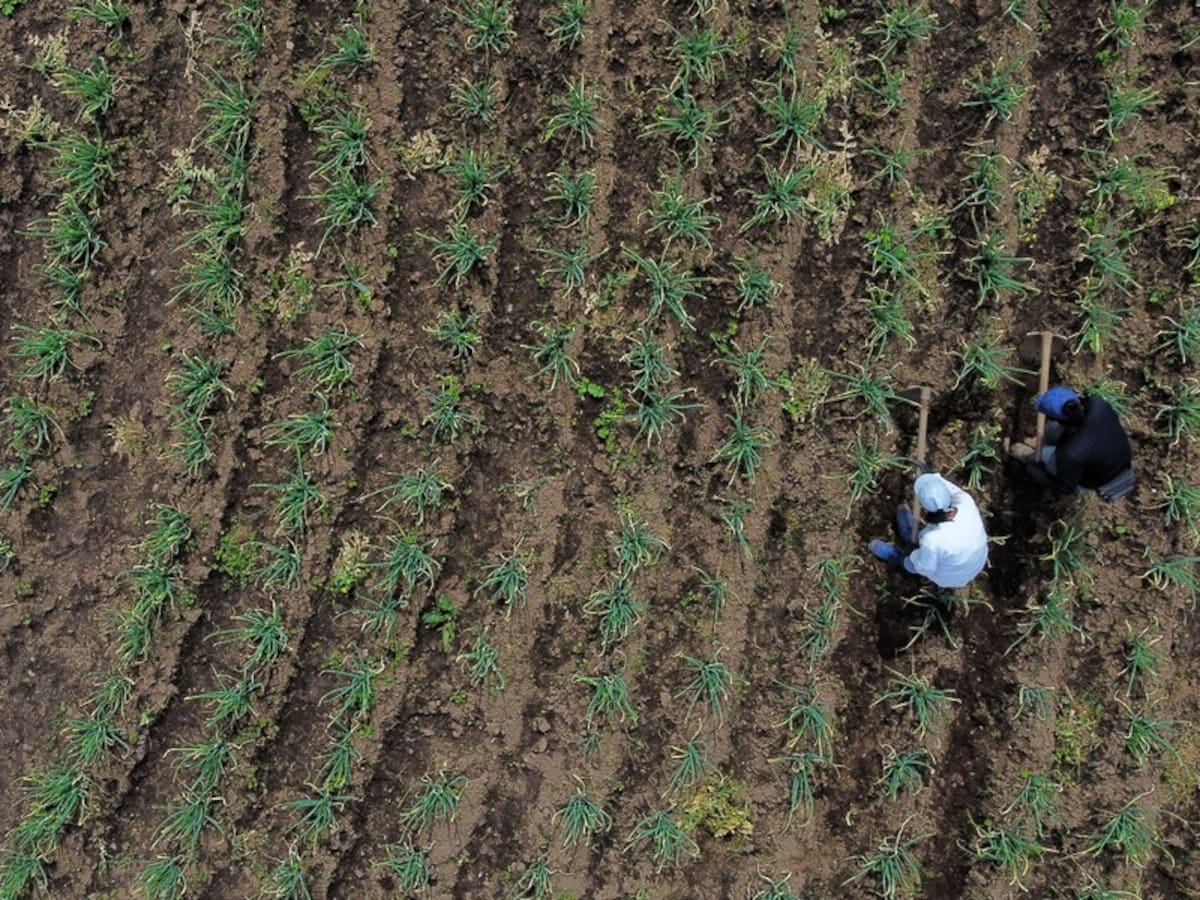 URT rechazó presuntas intimidaciones contra uno de sus funcionarios en zona rural de Montería