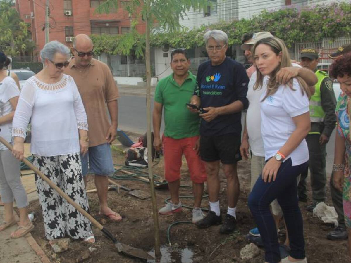 Siembran árboles en parque lineal de Avenida Miramar en Manga en Cartagena