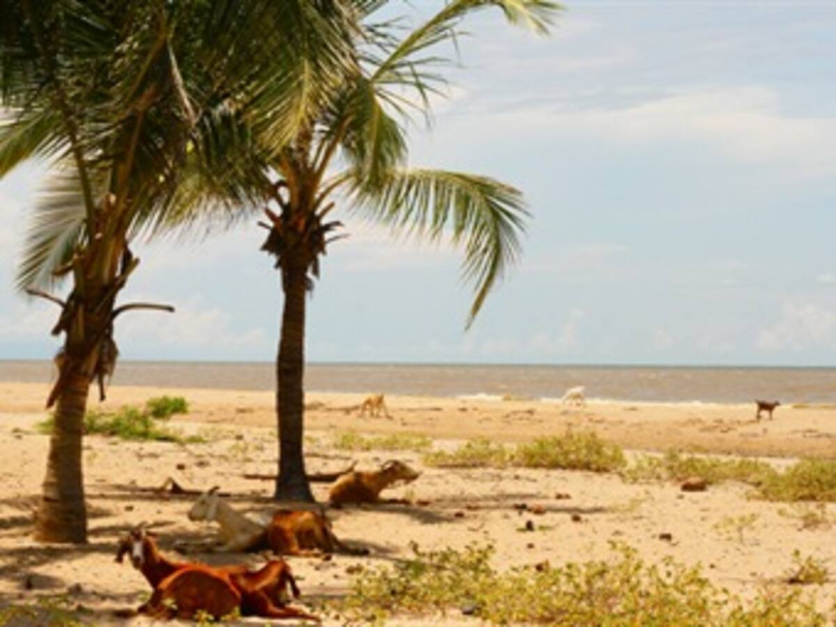 La historia de una alemana que, tras celebrar su matrimonio en la Guajira, murió