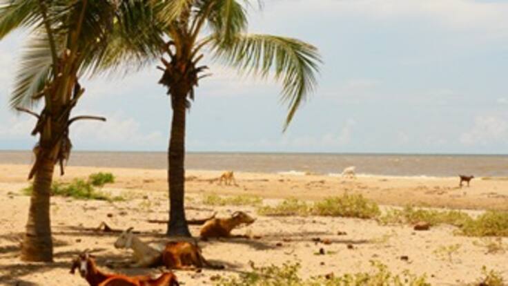 La historia de una alemana que, tras celebrar su matrimonio en la Guajira, murió