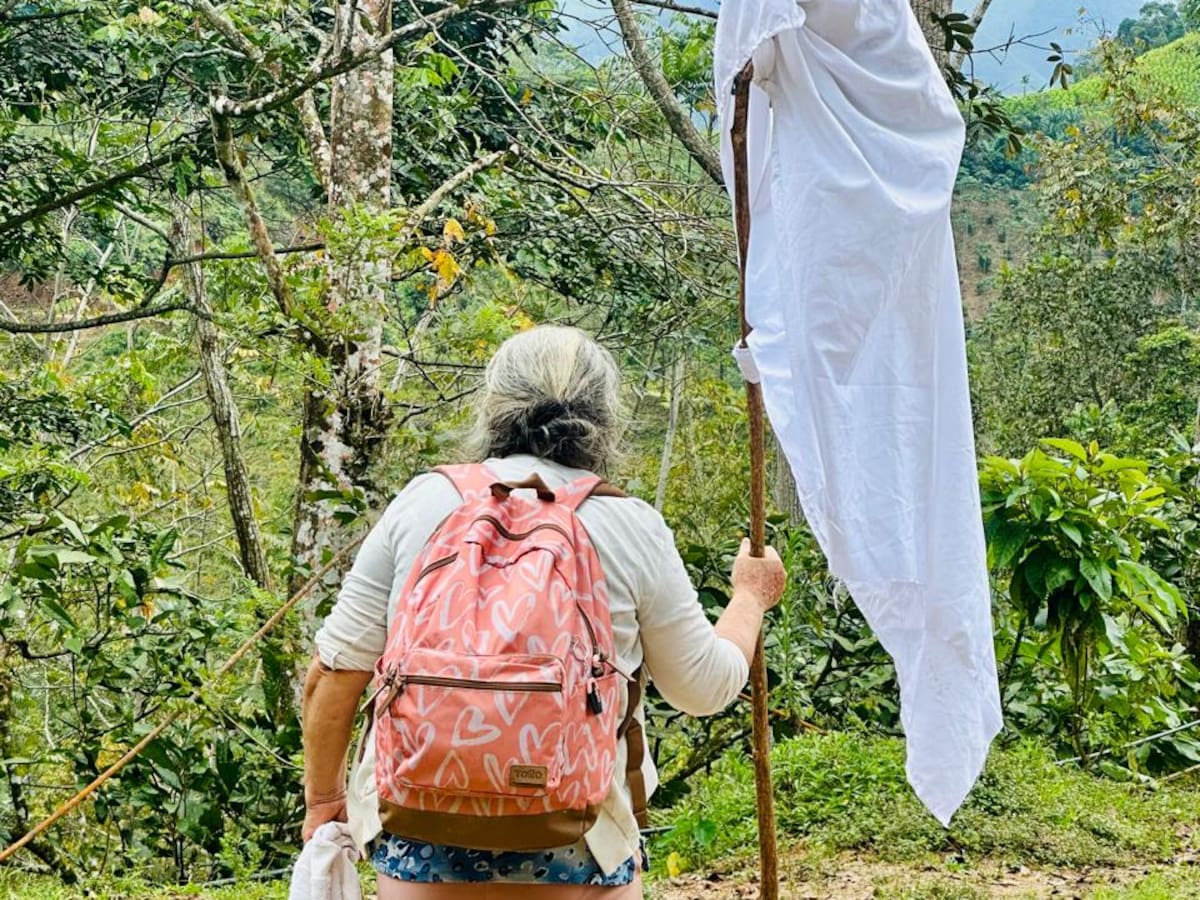 Personeros del Catatumbo exigen garantías de protección a su labor