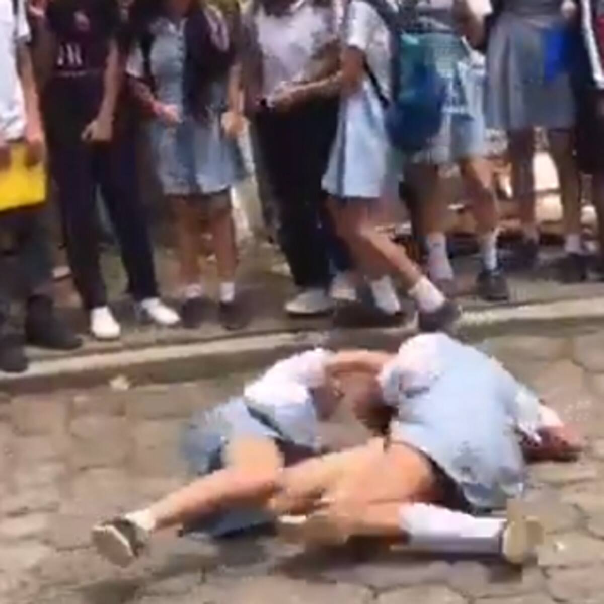 Video se vuelve viral en Bucaramanga donde niñas de un colegio se enfrascan en una riña