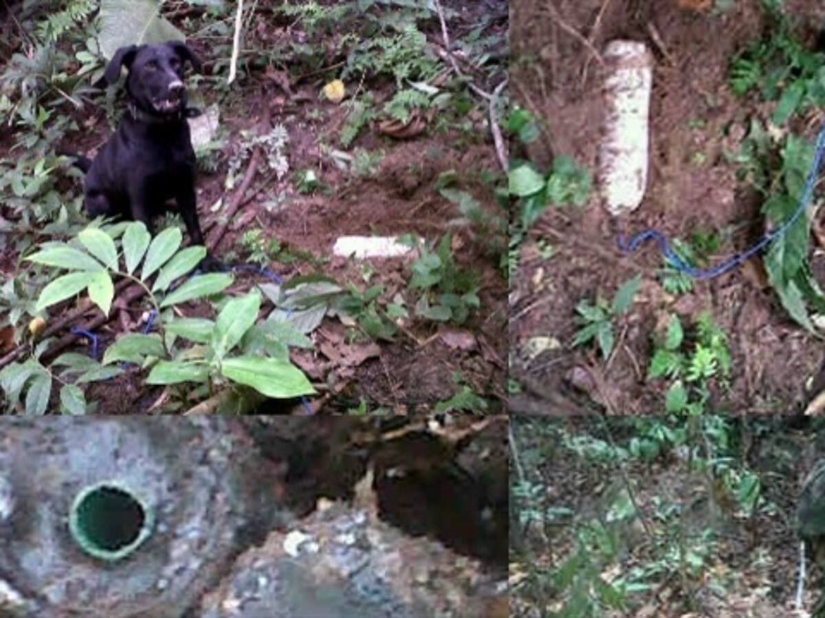 Ejército frustra ataque con explosivos del Eln en Tame (Arauca)