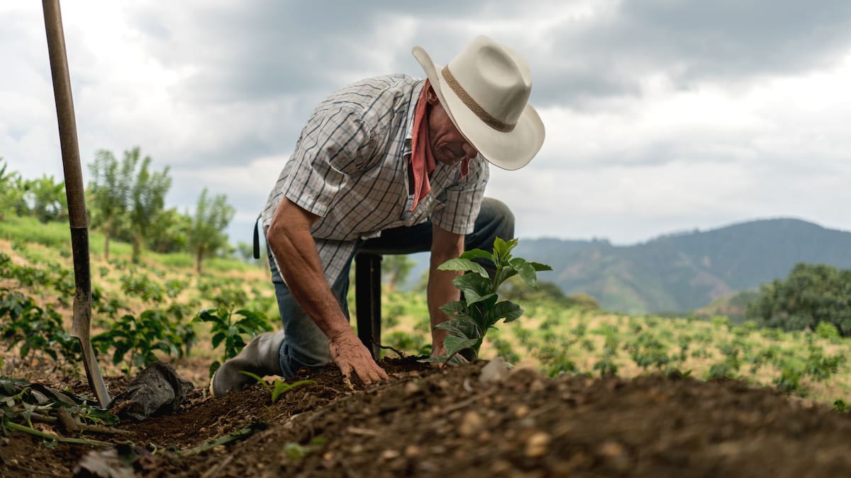 Costos de insumos agropecuarios encarecen la producción de alimentos
