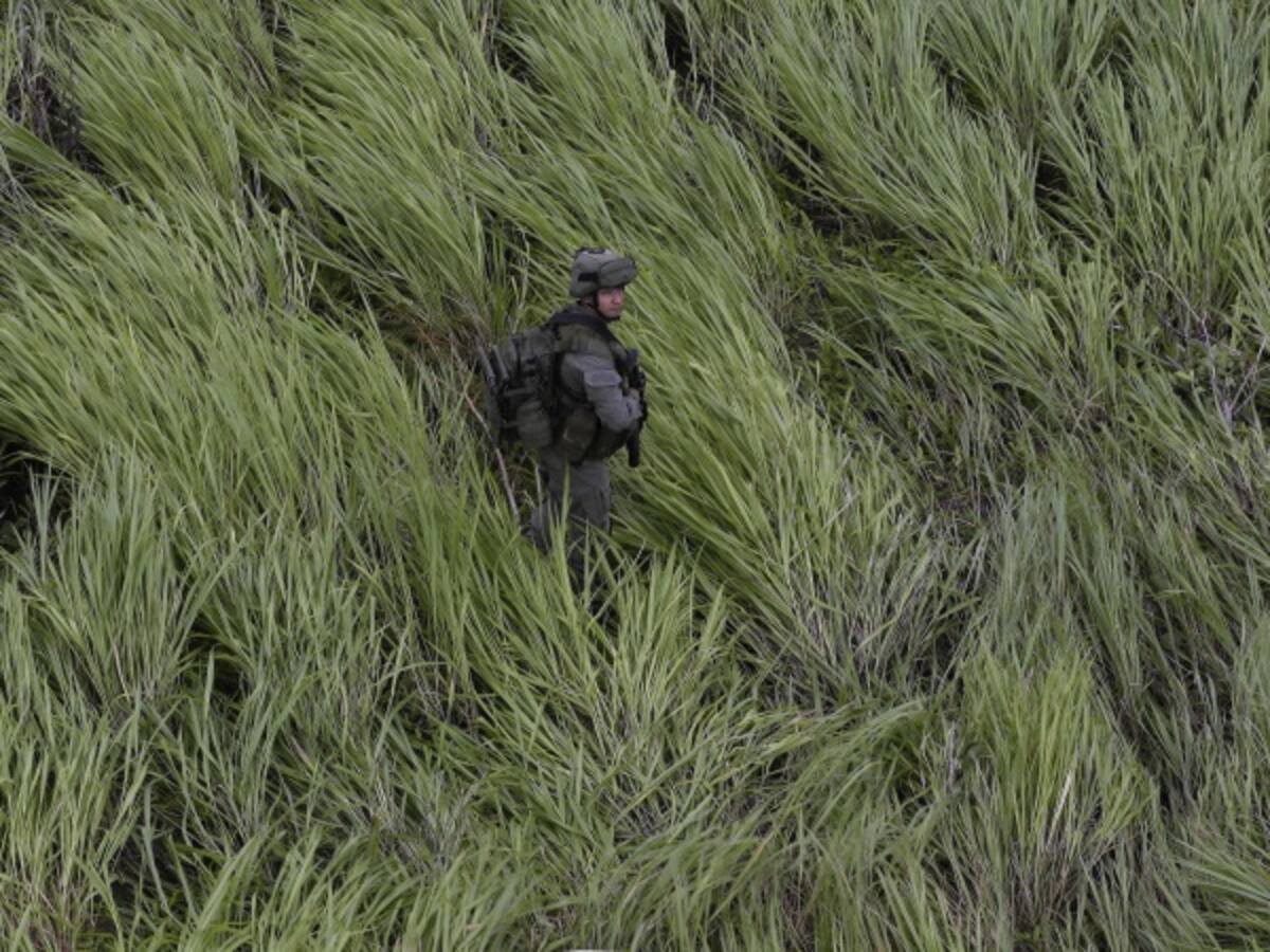 Absurdo reclamo de Venezuela a Colombia por cultivos ilícitos