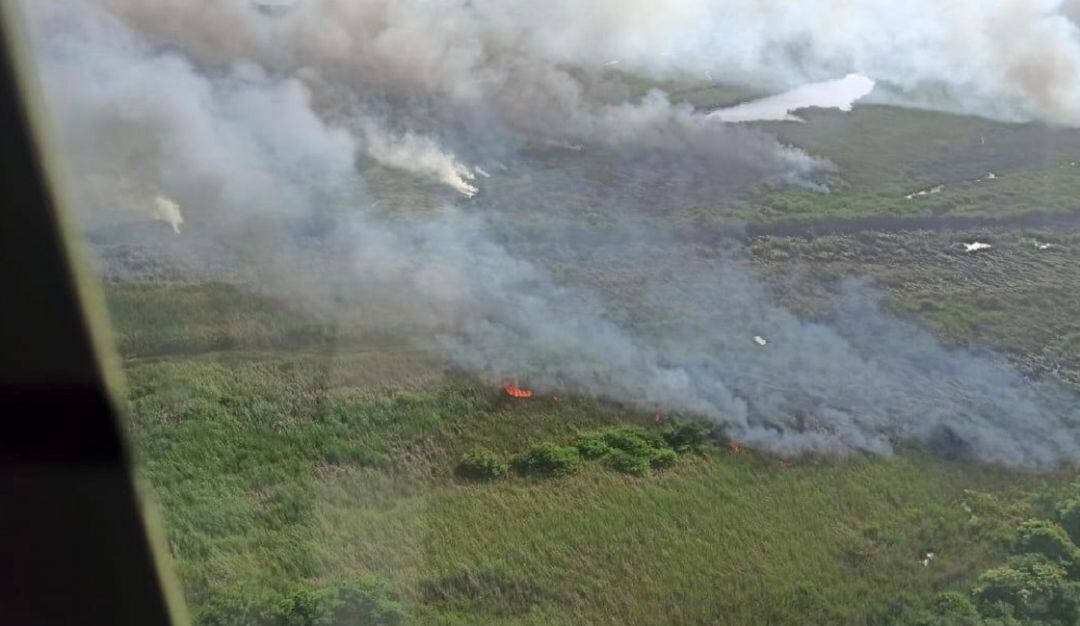 Zona afectada por quemas