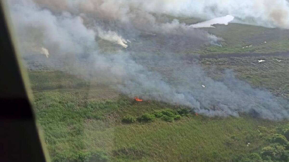 Fiscalía abrió cuatro noticias criminales por quemas en Isla Salamanca