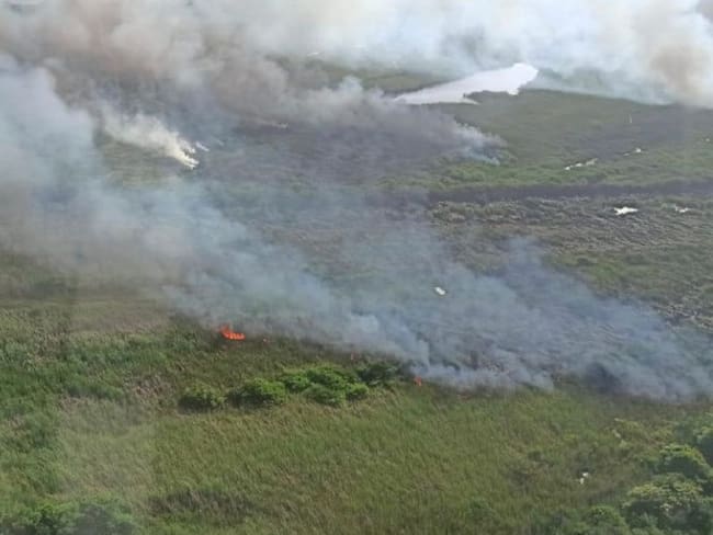 Zona afectada por quemas