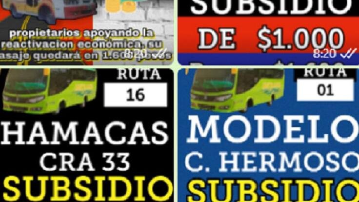 Álvaro Pinto Serrano, director del Área Metropolitana
