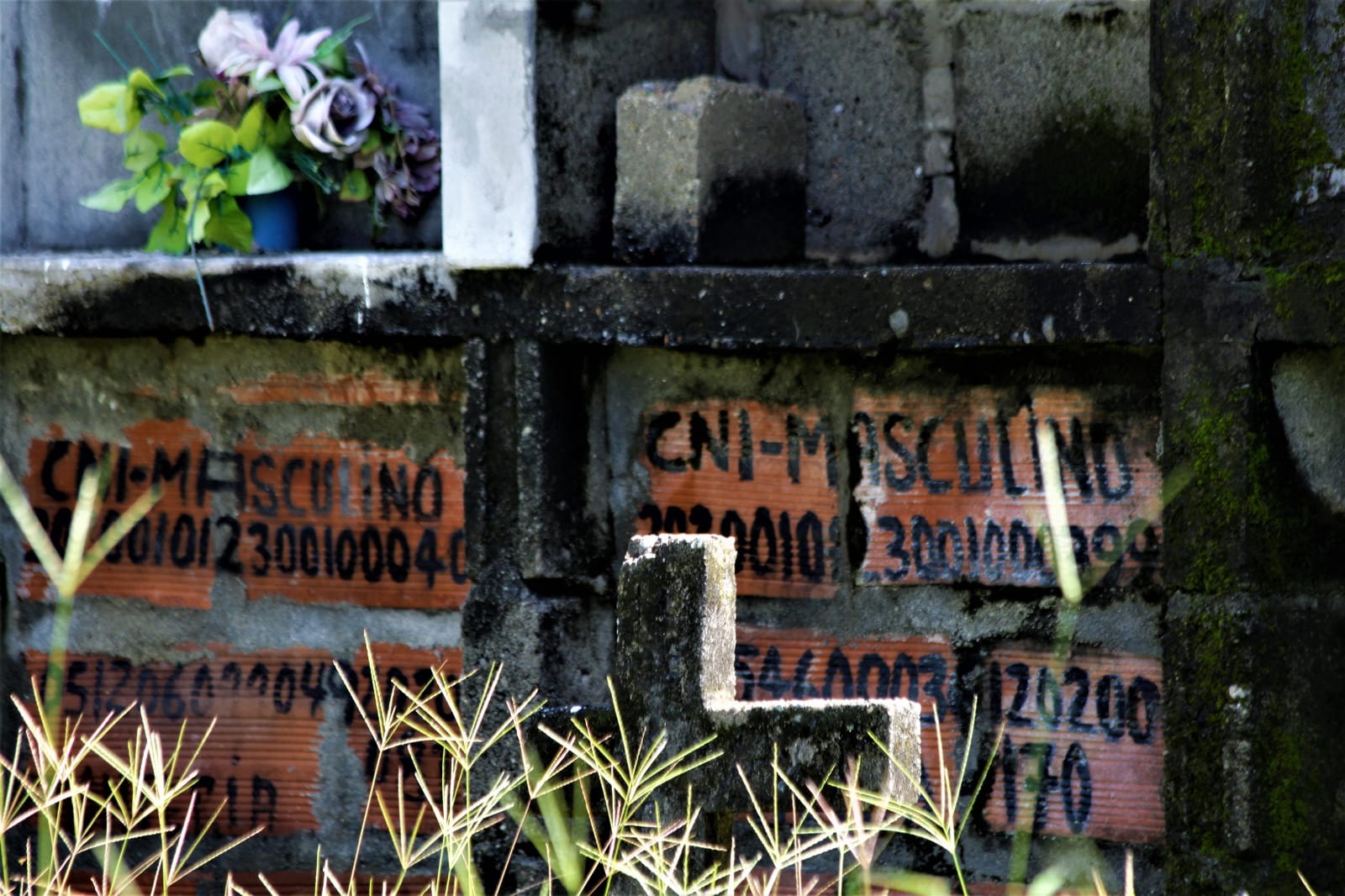 Cementerio de Cáceres. Foto: UBPD.