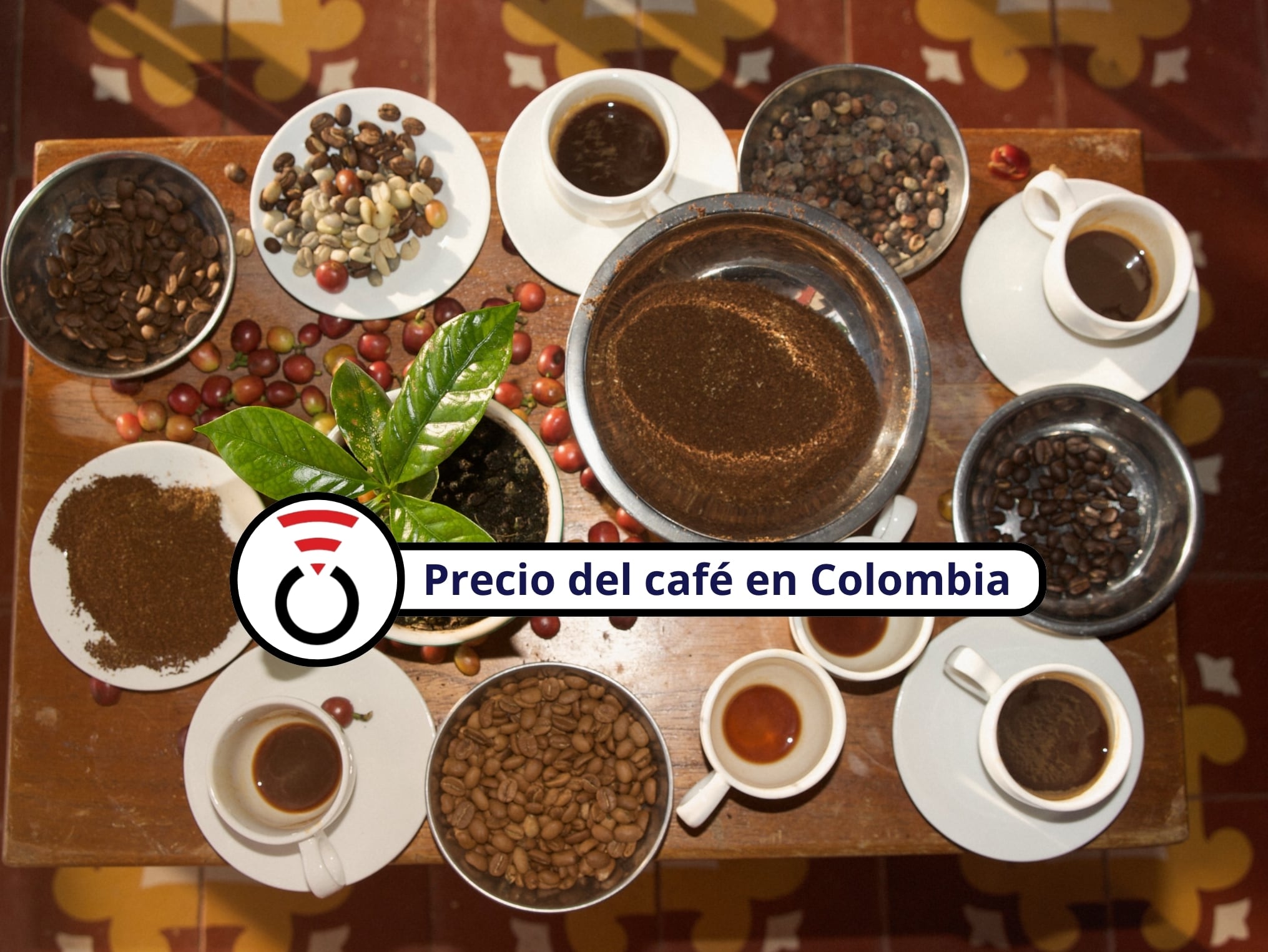 De fondo: Imagen de referencia de los frutos, granos y tazas de café (Crédito: Getty Images)