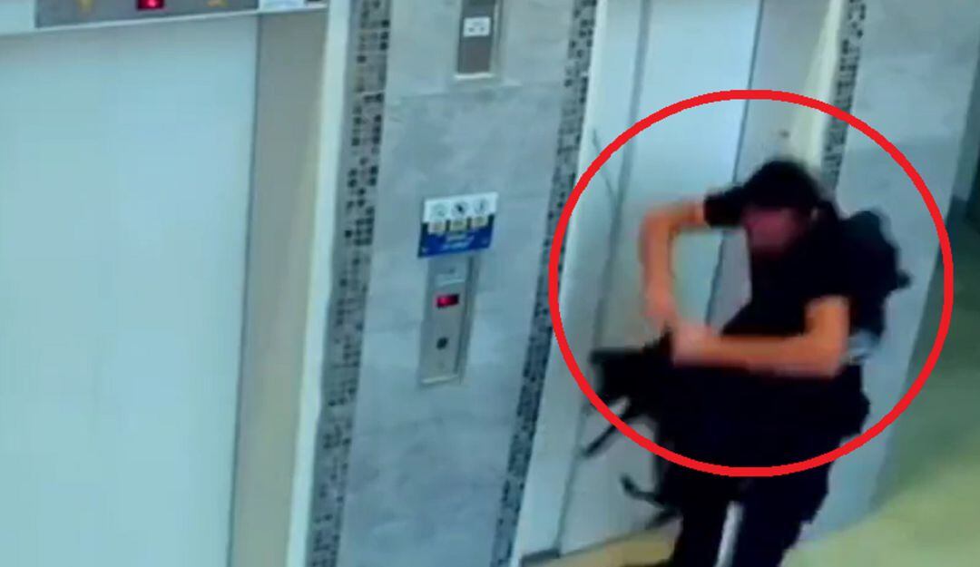 Video: Así fue el recate de un perro atrapado en un ascensor