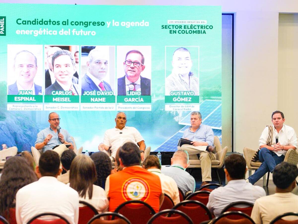 Transición sin señales claras: debate expone urgencia por recuperar la estabilidad energética